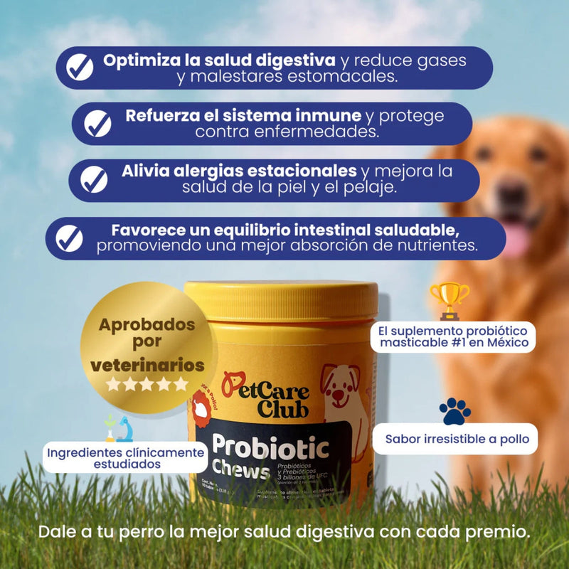 Probiotic Chews - Más colitas moviéndose, menos estómagos inflamados.