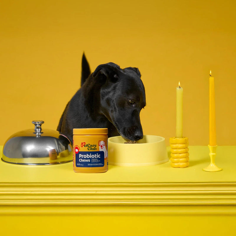 Probiotic Chews - Más colitas moviéndose, menos estómagos inflamados.