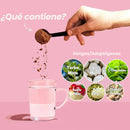 Yerba Magic - Té de melocotón y mango