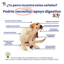 Probiotic Chews - Más colitas moviéndose, menos estómagos inflamados.