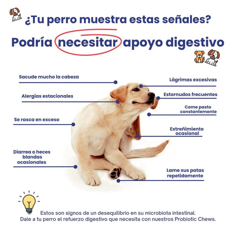Probiotic Chews - Más colitas moviéndose, menos estómagos inflamados.