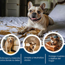 Not Here Spray - Dile adiós a los accidentes peludos