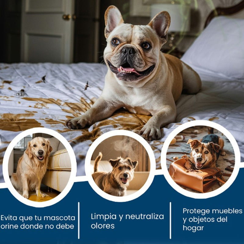 Not Here Spray - Dile adiós a los accidentes peludos