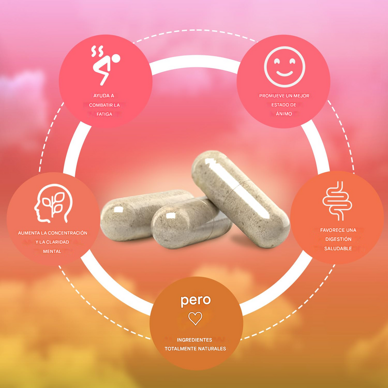 🌿💊 Yerba Magic – Cápsulas 100 % Yerba Mate 💥🧠