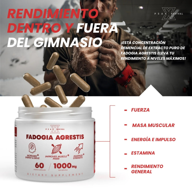 Fadogia Agrestis - Suplemento Natural Activa tu mejor versión